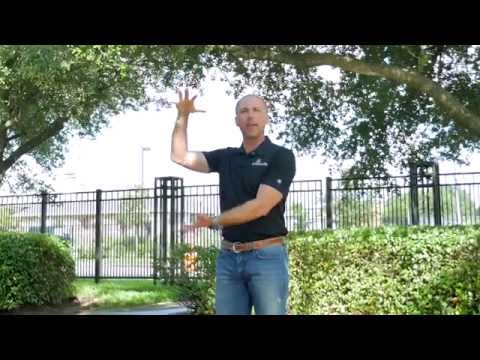 Tree Trimming Tips - Crown Raising