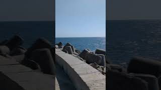 Download lagu Devo ke Dev Mahadev 🙏#mahashivratri #shivratri #mahadev #devokedevmahadev #om  #shiva #shivshankar mp3