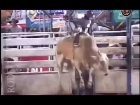 Jairo dos Santos Primo Pantaneiro vs Sadan Cia Rio Bonito Exponop 2010