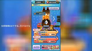【ぷにぷに】ガチャ20連！！女郎蜘蛛引ける？引けない？