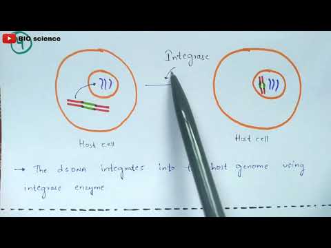 Tissue engineering Technique Procedure Bio science