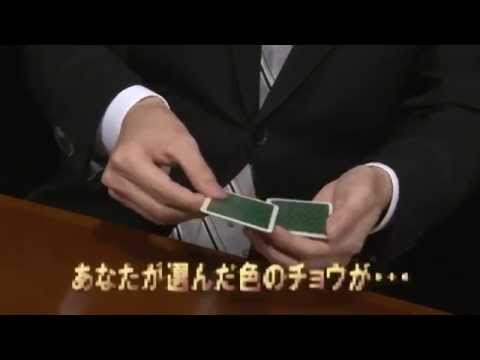 TY15マジックバタフライ/フェザータッチMAGIC