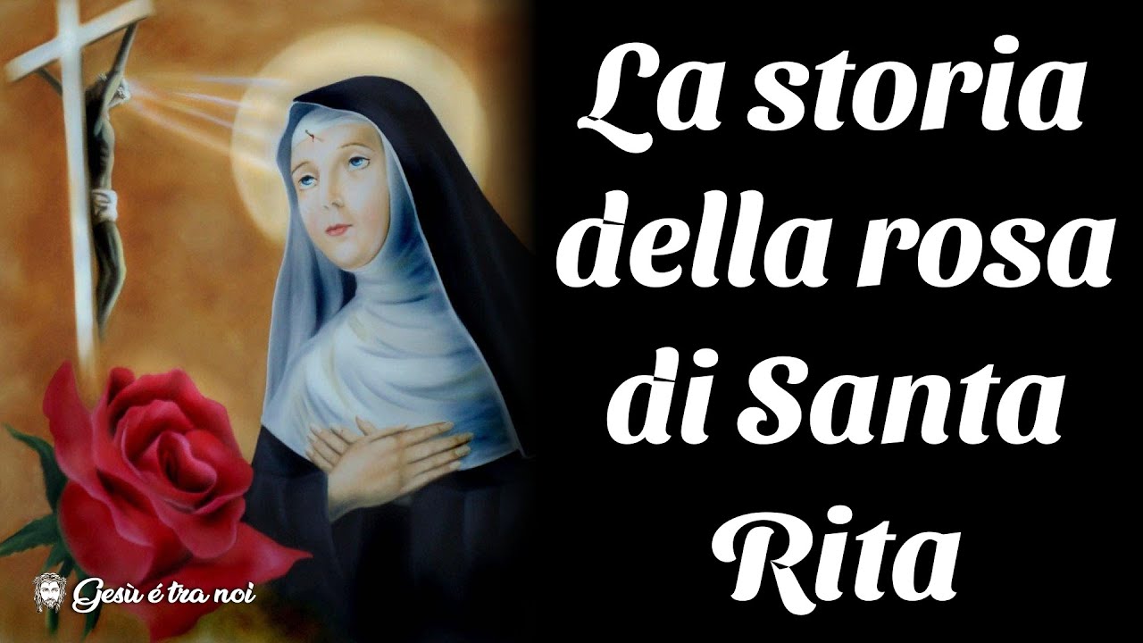 La storia della rosa di Santa Rita