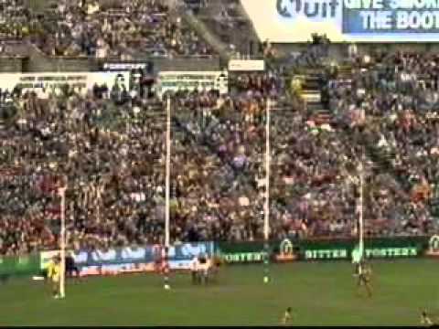 1993 AFL - THAT WAS THE SEASON THAT WAS