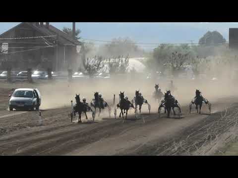 Trka "Pioneer Seme" 07.10.2018 Jessie-Dejan Petrović