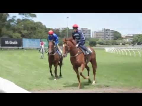 2015 Contender - Shooting To Win