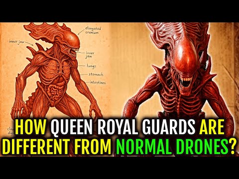 Xenomorph Royal Guard Anatomy Explored - Why Even Normal Xenomorphs Are Terrified Of Them?