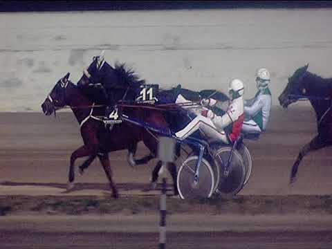 Trotto 11/01/2019 - 6ª corsa