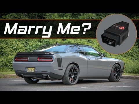 zAutomotive TaZer version 2 4 - Marry and One Press Return to Stock