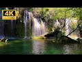 LIVE Waterfall Sounds and Birds Chirping - Relaxing White Noise for Sleeping #Relaxing #Depression