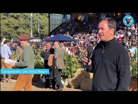 29-07-22 - Veredicto de la Jura de Machos Angus - Expo. Palermo 2022