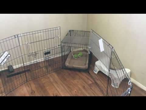 YouTube video about: How to keep a dog playpen from moving?