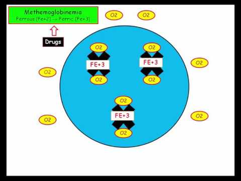 12DaysinMarch, RBC and Oxygen Content, CV response, CO, Fe+3 for USMLE Step One (Part II)