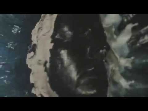 KA-MEAL x OLFVN - PATO RABAN