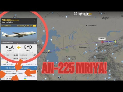I Found 6 RARE and INTERESTING Flightradar24 Finds! (50 SUBS SPECIAL)