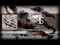 The Animal In Me - Lungs (Album Stream) 