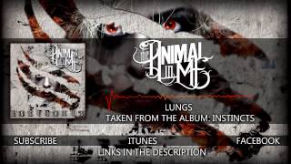 The Animal In Me - "Lungs" (Album Stream)