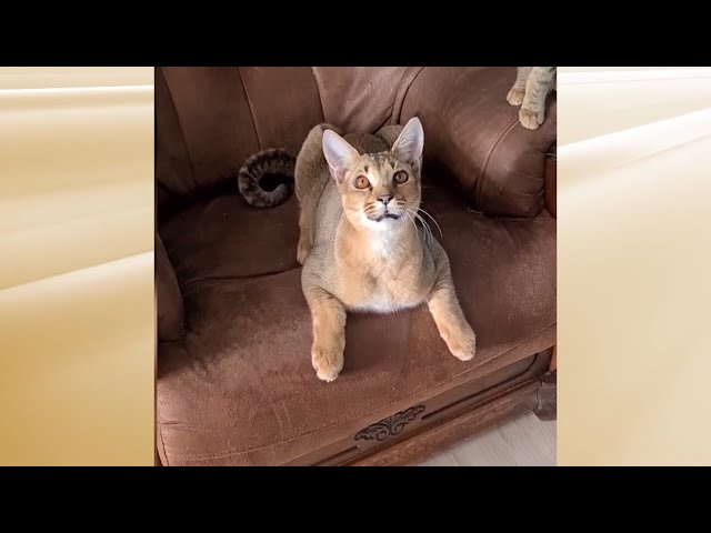 Рубрика "Живая среда"