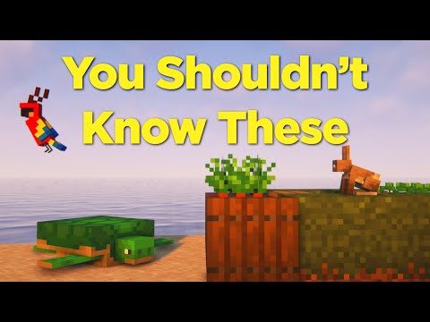 50 More Useless Facts About Technical Minecraft