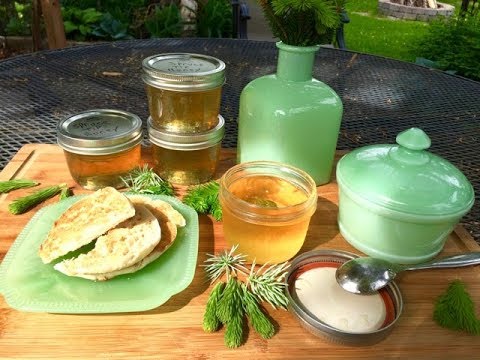 download lagu mp3 mp4 Spruce Tip Honey, download lagu Spruce Tip Honey gratis, unduh video klip Spruce Tip Honey