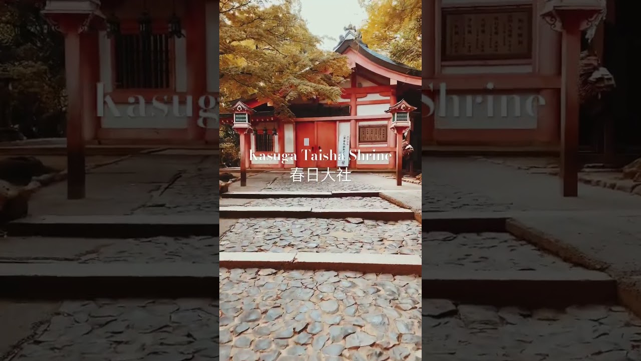 YouTube Short thumbnail