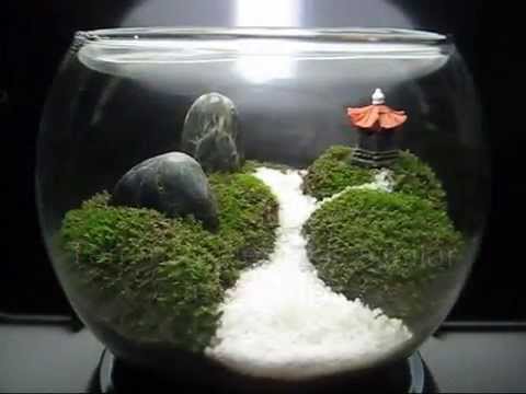 Moss Terrarium Journey - Instructables