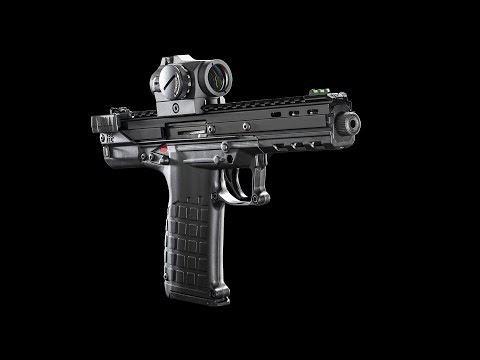 First Look at the Kel-Tec CP33 Pistol #837