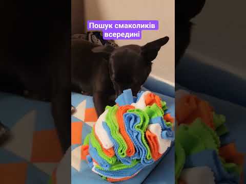 Іграшка для собак «нюхальна кулька» ідеальне рішення для самостійної гри песика, 30 см - фото 1 - id-p2900647480