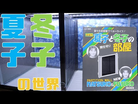 オノブリキス・ビシフォリア