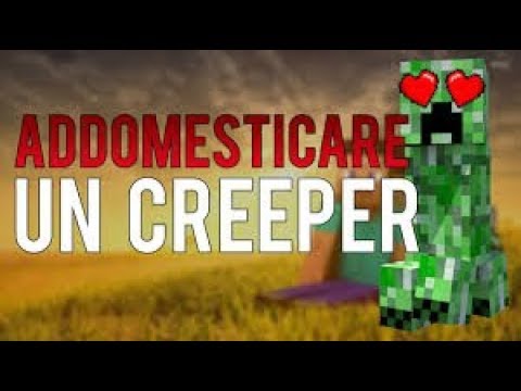 COME ADDOMESTICARE UN CREEPER | MINECRAFT ITA