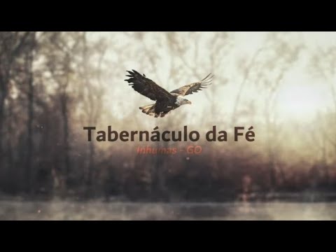 SEXTA - FEIRA  28/08/2026