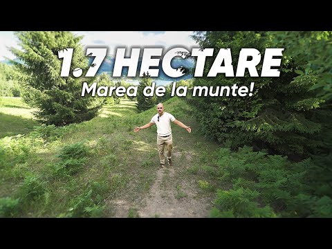 Teren Intravilan de 1.7 Hectare în Colibita — Video