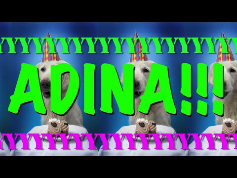 HAPPY BIRTHDAY ADINA! - EPIC Happy Birthday Song