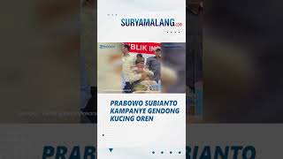 Momen Prabowo Datangi Pendukung yang Bawa Kucing Oren, Langsung Digendong