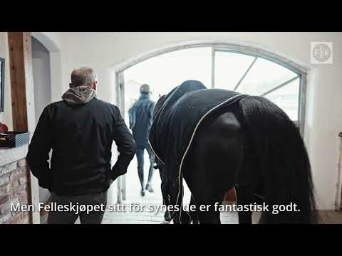 Derfor velger Geir Gulliksen fôr fra Felleskjøpet