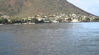 preview picture of video 'Dolphins in Tamarin Bay, Mauritius'