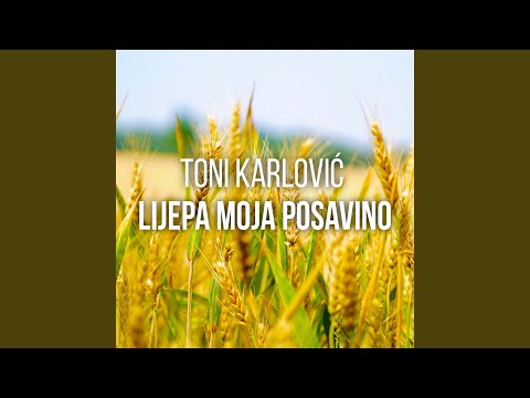 Lijepa Moja Posavino