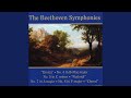 Symphony No. 6 In F Major, Op. 68, "Pastoral": V. Allegretto