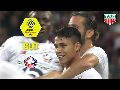 But Luiz ARAUJO (24') / OGC Nice - LOSC (1-1)  (OGCN-LOSC)/ 2019-20