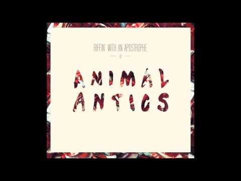 Animal Antics - My Reflection