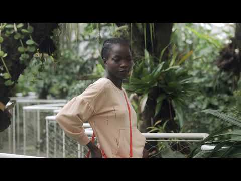 Paola Sweater Naaipatroon video