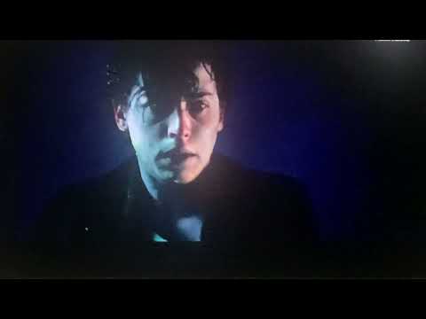 I polmoni per Stella - A un metro da te