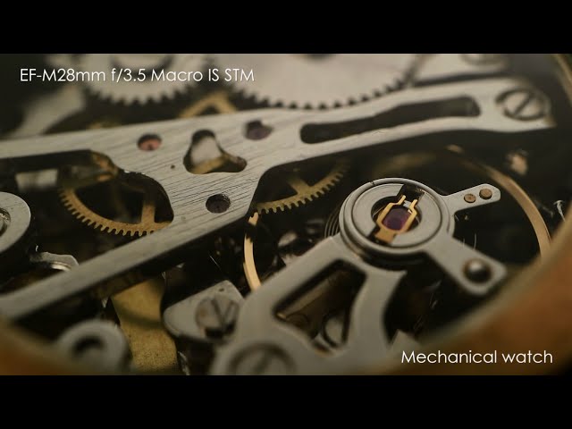 Vidéo teaser pour Sample Movie EF-M28mm f/3.5 Macro IS STM (CanonOfficial)