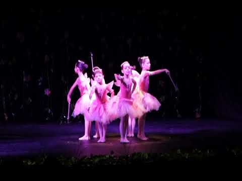 04 -A Magia das Fadas - Os enigmas da Floresta