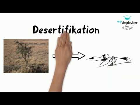 Desertifikation