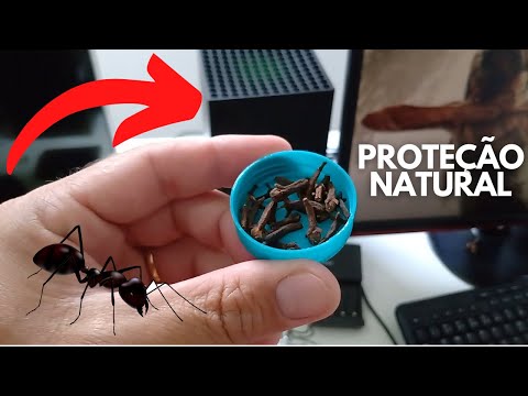 Repelente Natural Contra Formigas na Sua TV, Console e PC Gamer!