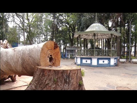 População reclama da situação do Jardim Publico