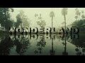 Cozy Winter Morning Cinematic Video