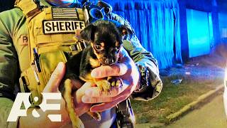 Live PD: Greatest Shifts — A Tiny Chihuahua Changes the Tone of This Traffic Stop | A&E