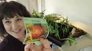 Starting Seedlings | March 2020